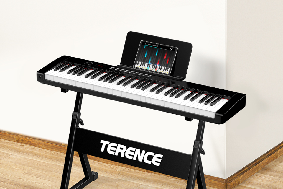 TS-02-Electronic Piano-Shenzhen Terence Musical Instrument Co.
